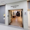 쇼독(Show dog) | 산본 애견유치원 솔레아스펫 방문등록후기