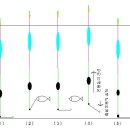 장찌올림낚시 <8> 장찌찌맞춤 2탄-좁쌀채비는 가라....... 이미지