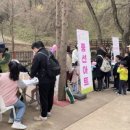 봄이 왔나 봄 네이버블로그