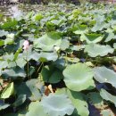 뉴오션리조트 이미지