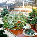 부강온천 이미지