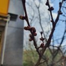 동백운수 이미지