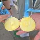 크로스핏 마하 이미지