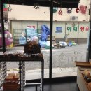 브레드 디 이미지