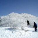 겨울 추천 산행지 이미지