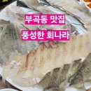 풍성한회나라 이미지