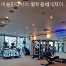 머슬 인 이미지