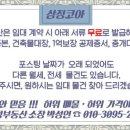 동연아미가 이미지