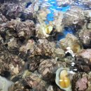 조개정육점 신중동점 이미지