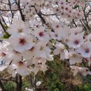 호수공원 제1주차장출구 이미지