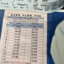 ㈜한타제주판매 | 제주 | 우도 | 자전거투어 "우도여행 당일치기" 후기