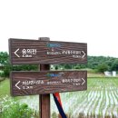 DMZ 평화의 길 12코스 이미지