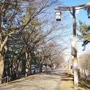 솔밭공원 농구장 이미지