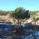 서면 안보1리 이미지