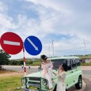 용고개농장 이미지