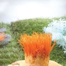 농업회사법인 광명농산(주)