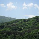 태백산맥 이미지