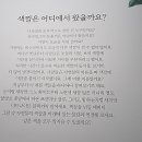 햇살머리방