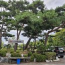 유학산금호스크린골프 이미지