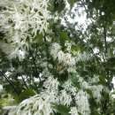 신암근린공원 이미지