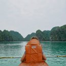 Halong (하롱) 이미지