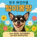 깨비 애견미용 이미지