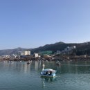 기찬낙지 이미지