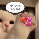 7월 이야기