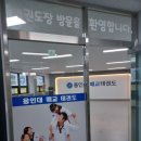 용인대 참 태권도장 이미지