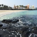 춘희목장 | 3박 4일(2일차 : 금능해변, 성이시돌목장, 카멜리아힐, 서광춘희, 오설록, 산방산탄산온천, 미도호스텔)