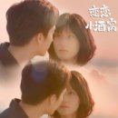 진의함 카카오 검색결과