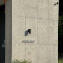 모리네 | 청주 대형 애견카페 모리네집 다녀온 후기