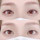래쉬리움 | 문정속눈썹 잘하는곳 블린 브로우&래쉬 속눈썹펌 후기