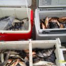 복사초등학교 이미지