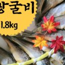금바다수산 이미지