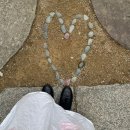 보타닉뮤지엄 | 창원 여행, 창원 갈만한 곳 - 목향장미 스팟 보타닉 뮤지엄 후기, 꿀팁