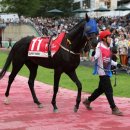 신흥택시㈜ 이미지