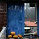 청대문집 이미지