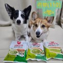 GS25청주스타점 | (맛있는 빵 간식 추천)GS25 &amp; 서울우유 콜라보 말차크림빵 시리즈 먹방 후기