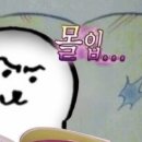강앤정