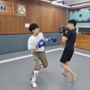 팀혼종합격투기옥계