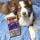 마       한       관 이미지