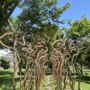 써니힐 | 🇹🇼[대만 가오슝] 보얼예술특구 | 써니힐 펑리수 무료 시식 &amp; 구매후기