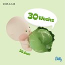 가족요가A | [임신일기] 임신30주차 일상, 임신후기 증상/ 환도선다, 임산부요가, 임산부 머리 매직