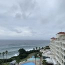 일송목장 이미지