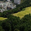 ＜장산국 속으로 ⑥＞ 장산국과 우시산국 - 장산국 이전부터 우시산국이 있었다 이미지