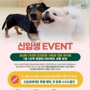 털로덮인친구들 수원시청역점 이미지