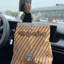 세종숙박 | 코트야드 바이 메리어트 세종 숙박 후기