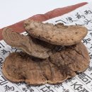 영지메디컬 이미지