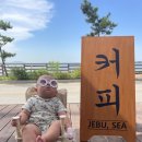 제부콤마씨(JEBU,SEA)